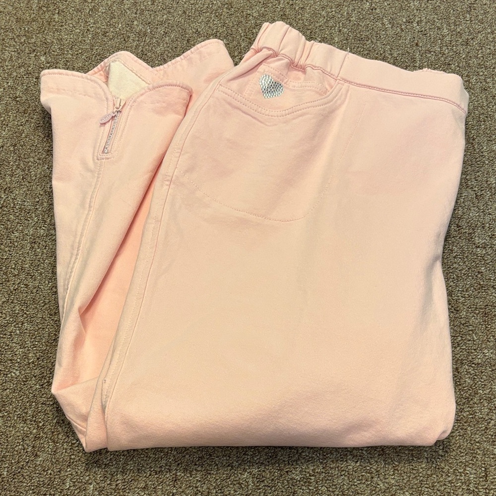 Dream Jeanne’s by Quacker Factory Size 2X Pink Pants NWT